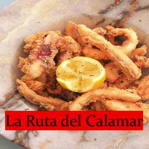 Banner Ruta del Calamar