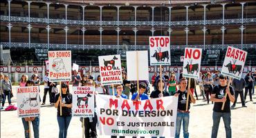 FOTOGALERÍA. Política. Protesta Antitaurina en la Plaza de toros de Gijón