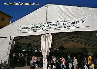 Concurso - exposición de los quesos de los Picos de Europa, en Cangas de Onis. LXXVIII edición.