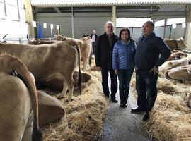 Asturias destina 3,8 millones a la primera instalación de 155 jóvenes agricultores