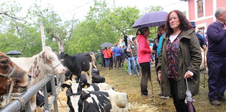 PODEMOS reivindica el etiquetado en origen de la leche de Asturies