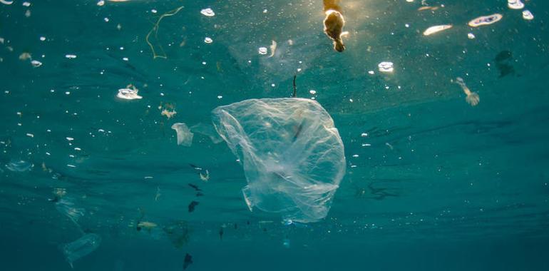 Greenpeace aplaude el avance de la CE contra la contaminación por plásticos