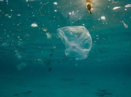 Greenpeace aplaude el avance de la CE contra la contaminación por plásticos
