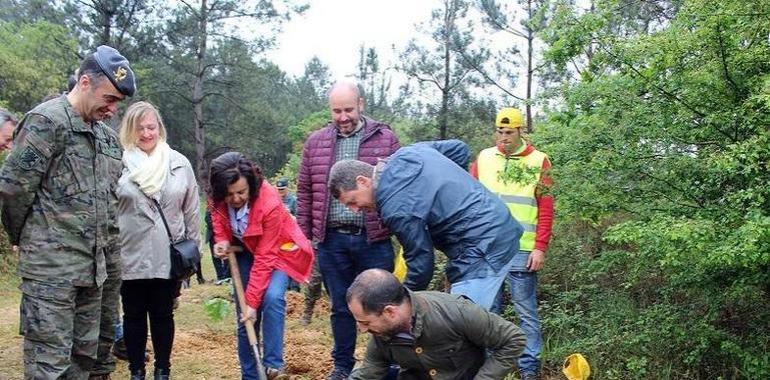 Asturias destina 7.400.000 euros a proyectos agroalimentarios y forestales