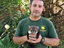 Zoológico El Bosque: El rescate de la Garduña
