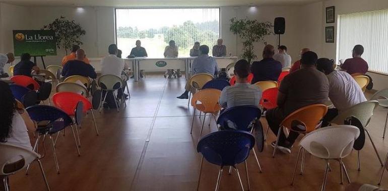 Cuatro asturianos en el Centro de Tecnificación Deportiva del Béisbol