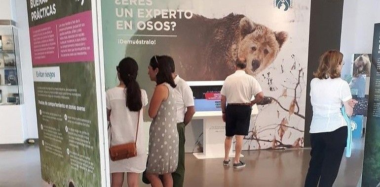 Gijón: ‘Osos’ alcanza los 6.000 visitantes en el ecuador de su estancia en la Antigua Rula