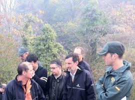 Los efectivos de emergencia combaten 15 incendios forestales en Asturias