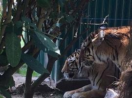 El Zoo de Oviedo invita a Ana Rivas a conocer sus instalaciones