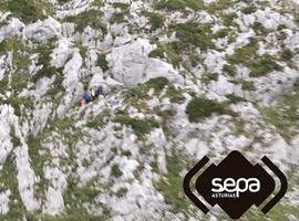 Rescatado un montañero herido al caer en una ruta por Quirós