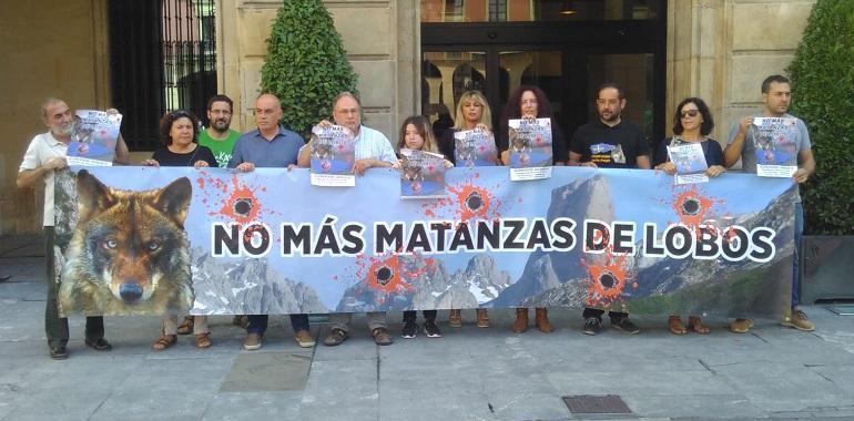 Manifiesto contra la matanza empecinada de lobos ern Asturias