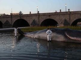 Whale, el cachalote del Manzanares