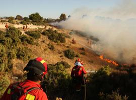 Extinguidos los fuegos forestales en Asturias menos uno en Cangas del Narcea y otro en Somiedo