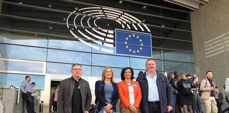 IU Asturias lleva al Parlamento Europeo la situación del asturiano 