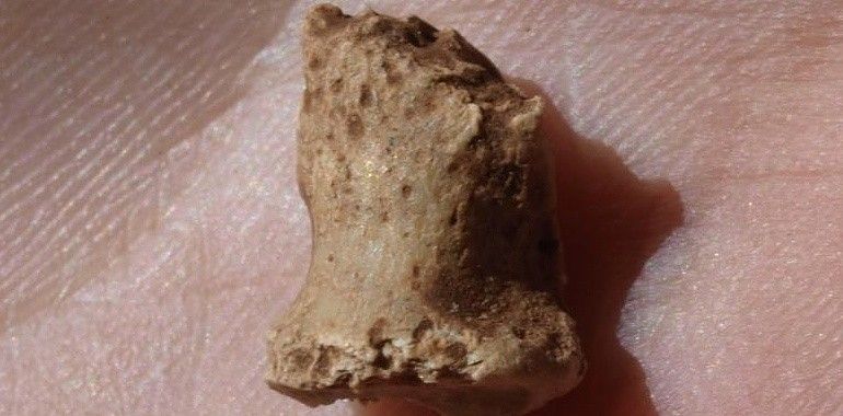 Primera publicación confirma la existencia de neandertales en Atapuerca