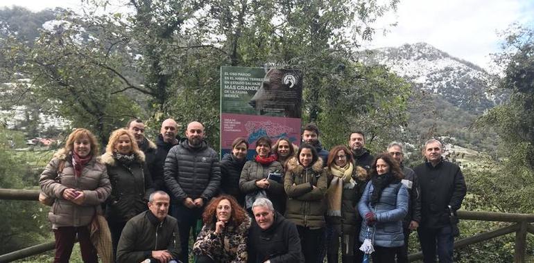 26 años de Fundación Oso de Asturias