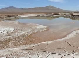 Las primeras lluvias en siglos en el corazón del desierto de Atacama devastan su vida microbiana