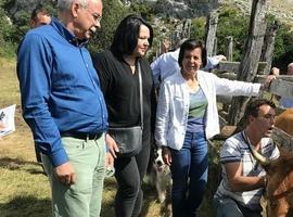 Asturias mantendrá las excepciones en la normativa de purines el año próximo 