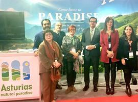 La Gastronomía, opción de primer nivel para reforzar Asturias como destino de congresos