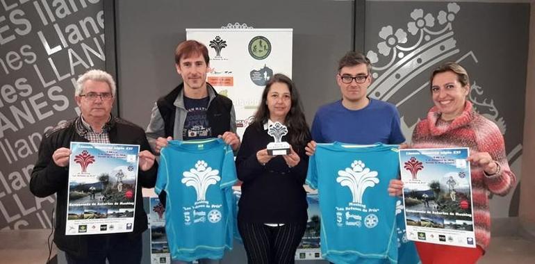 El Campeonato de Asturias de Mushing abre la temporada en Garaña de Pría.