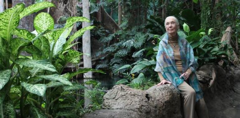 Jane Goodall: Estamos causando la sexta extinción masiva de especies 
