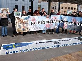 Ambientalistas de Asturias, Cantabria y C.L. piden paralizar la eliminación de lobos en Picos