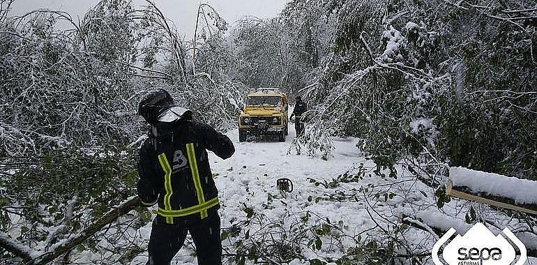 Declarada preemergencia por nevadas en carreteras de Asturias