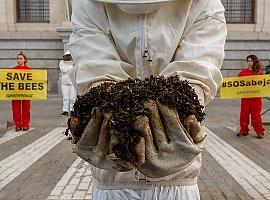 Europa se pliega a las multinacionales y permite el exterminio de las abejas