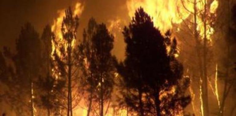 Incendios forestales cada vez más y más extensos