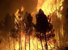 Incendios forestales cada vez más y más extensos