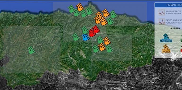 Toda la zona central asturiana con la contaminación disparada