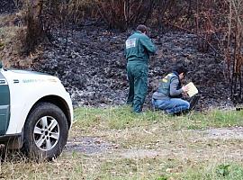 La Guardia Civil intensificará la vigilancia de espacios naturales ante el riesgo de incendios forestales