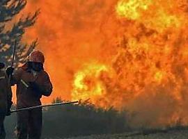 Un centenar de incendios arden en 32 concejos de Asturias