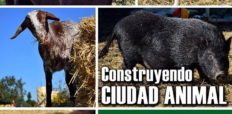 Ciudad Animal: sólo 6 días para finalizar el crowdfunding