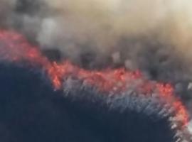 La Coordinadora Ecoloxista vuelve a reclamar que la lucha contra los incendios está en la prevención