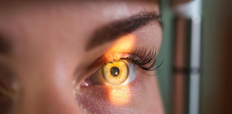 Día Mundial del Glaucoma: la ceguera, entre el top 3 de enfermedades más temidas 