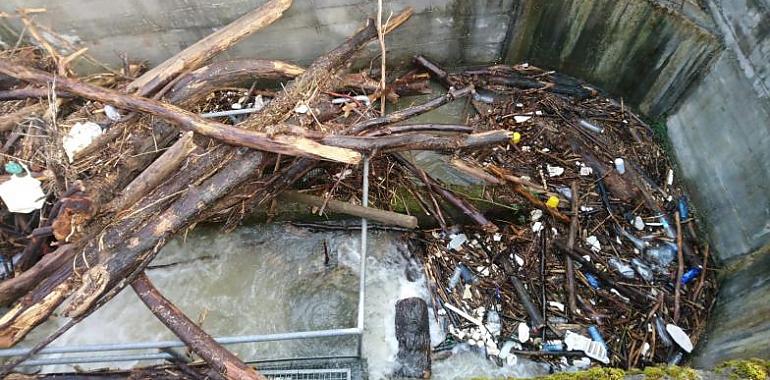 Coordinadora Ecoloxista pide que se limpien las escalas para peces en el río Nalón