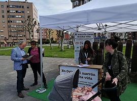 Hoy lunes arranca la recogida de residuos orgánicos en Oviedo
