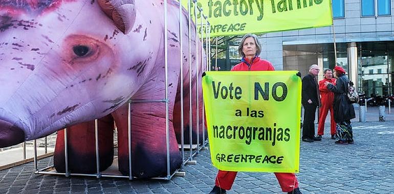 Greenpeace lleva un cerdo gigante a Bruselas para exigir el fin de las macrogranjas