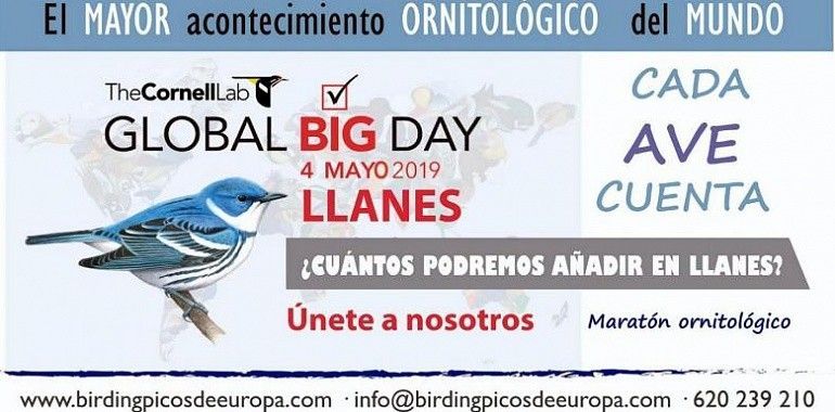 Llanes acoge mañana el Global Big Day, acontecimiento ornitológico mundial 