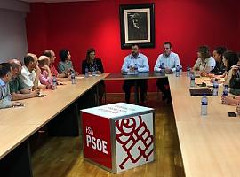 Dolores Carcedo, nueva portavoz del PSOE en el Parlamento de Asturias