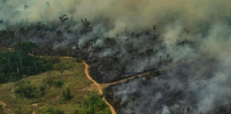 Los bosques del mundo en llamas: el G7 debe liderar una acción climática urgente