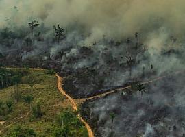 Los bosques del mundo en llamas: el G7 debe liderar una acción climática urgente