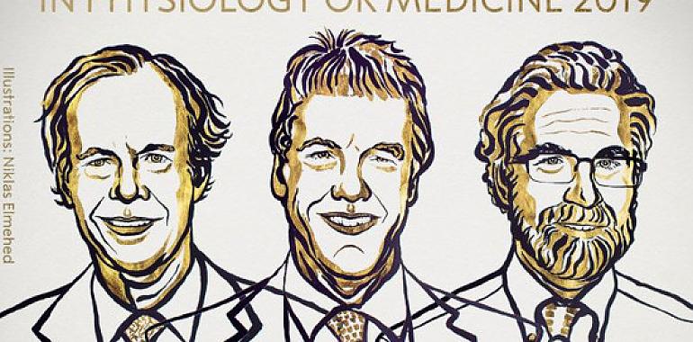 Nobel de Fisiología a tres por descubrir cómo respiran las células