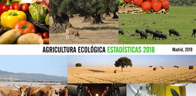 El sector ecológico se consolida en España