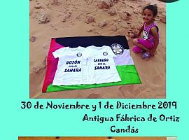 V Mercadillo Solidario por el Sáhara en Carreño