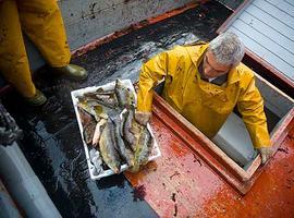 Canarias recomienda no consumir pescado de las zonas afectadas por la erupción volcánica
