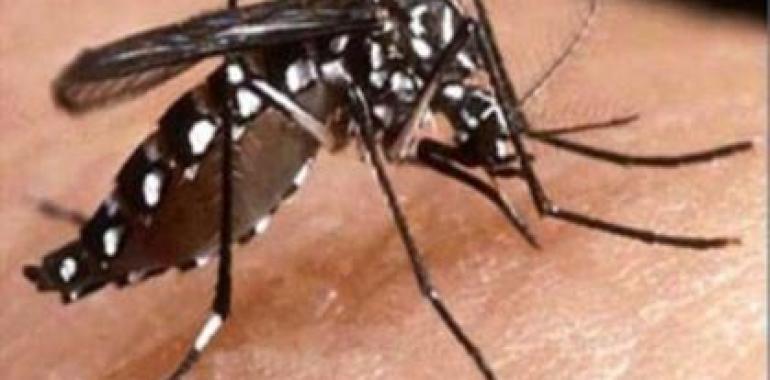 Alerta epidemiológica por dengue en la Región de las Américas