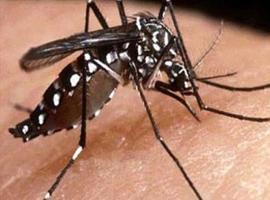 Alerta epidemiológica por dengue en la Región de las Américas
