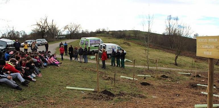 Estudiantes de Mieres plantan 940 árboles autóctonos en La Teyerona